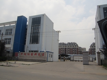 玩球app官方在线入口案例